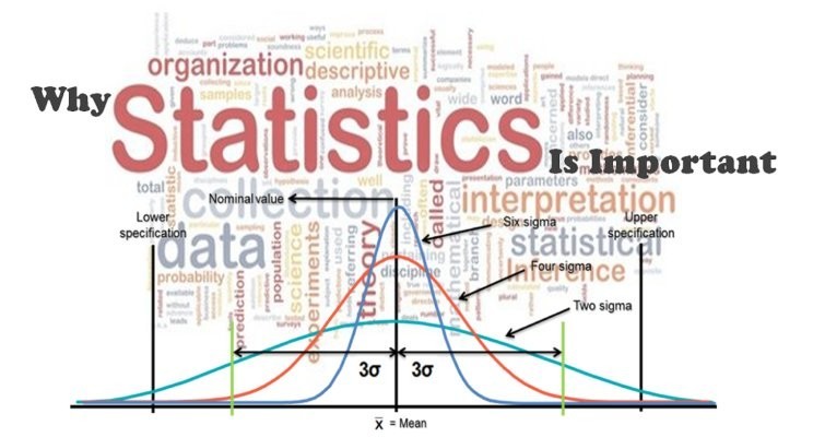 Statistics Assignment Help